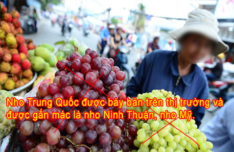 nho xanh ninh thuan