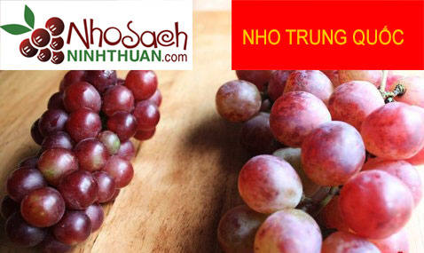 nho sach ninh thuan